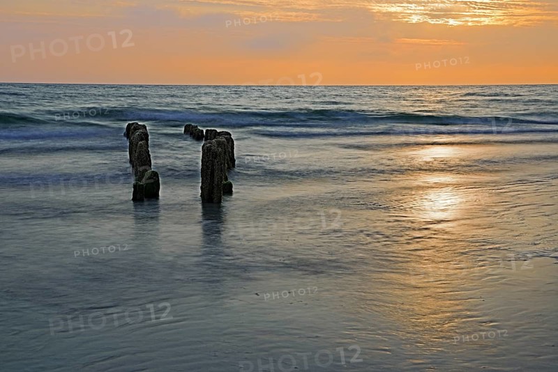 Algae-covered groynes at sunset on the beach of Rantum