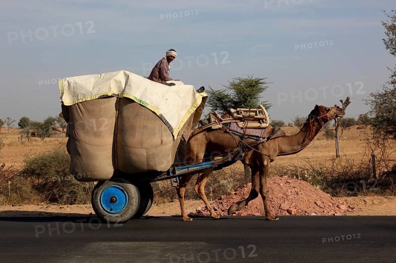 Rajasthan