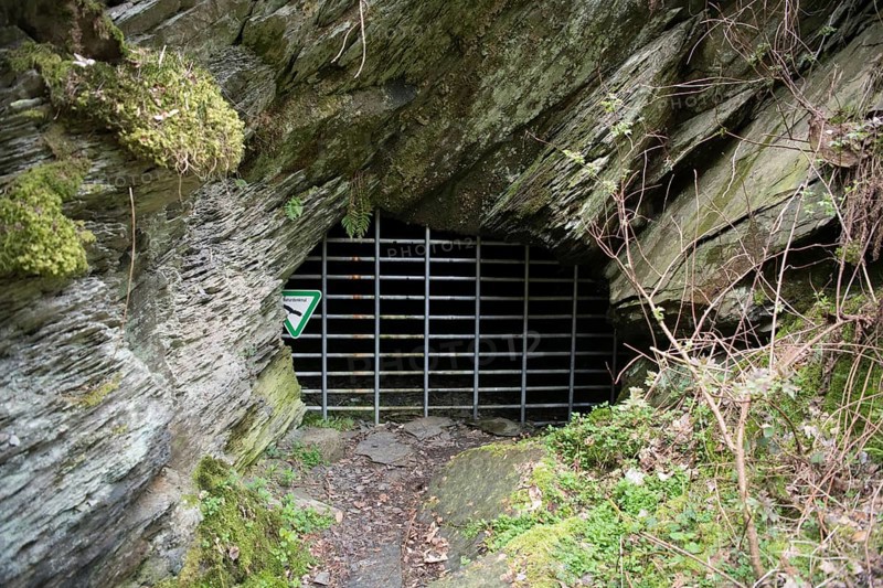 Old gallery in the Eifel National Park