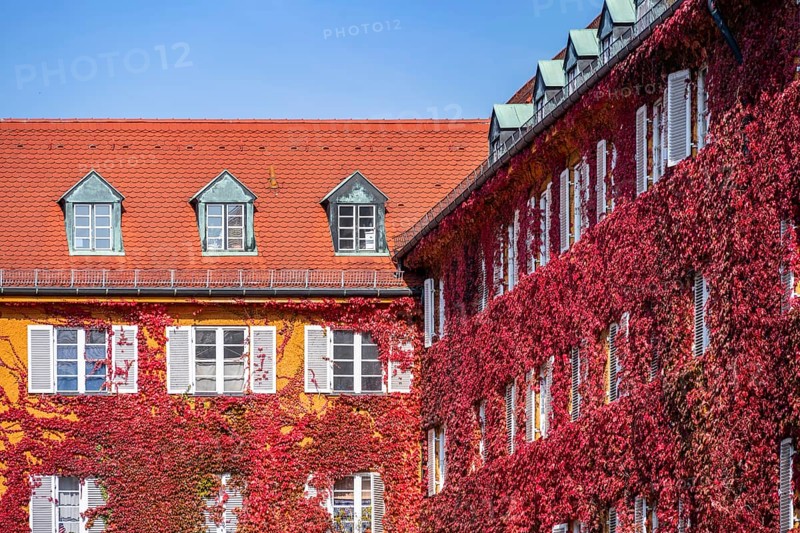 Yellow apartment buildings