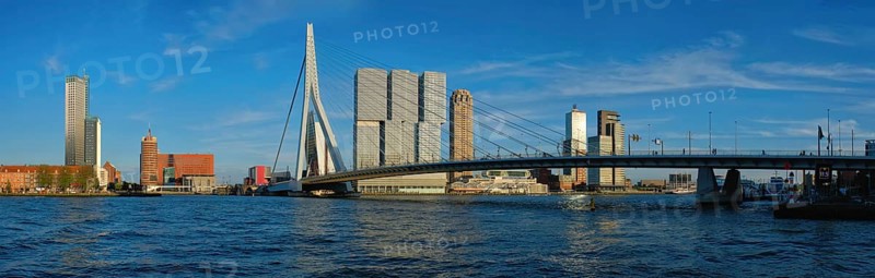 Panorama of Rotterdam cityscape with Erasmus bridge over Nieuwe Maas river on sunset. Netherlands
