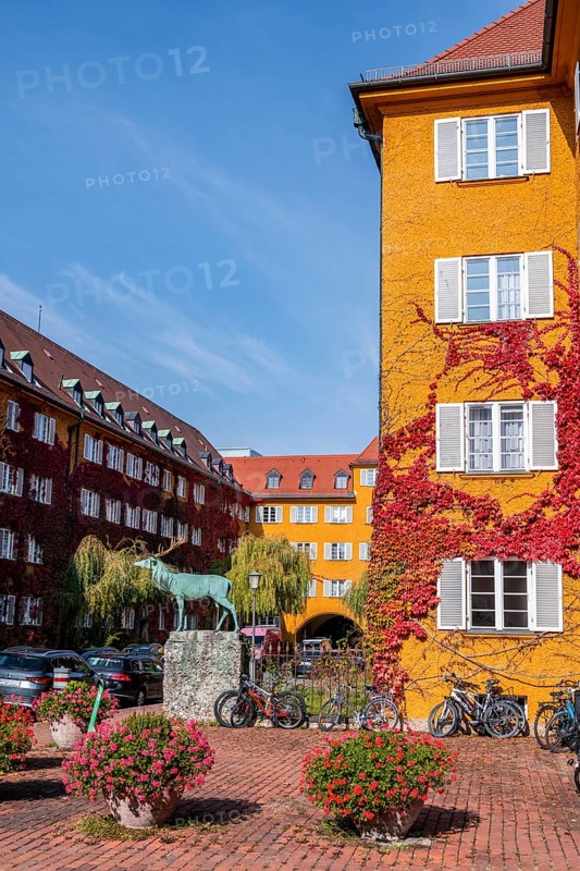 Yellow apartment buildings