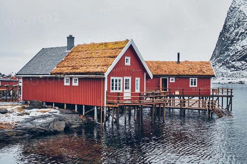 Traditional red rorbu house with grass covered roof in Reine village on Lofoten Islands