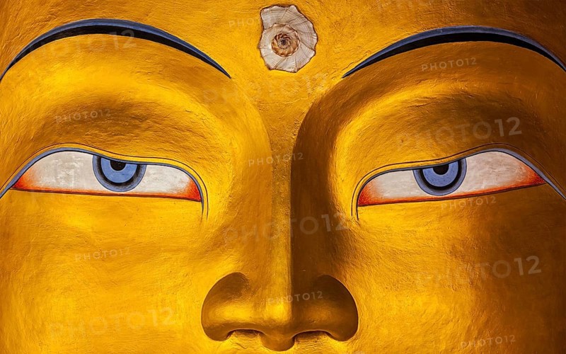 Eyes of Maitreya Buddha face close up. Thiksey Gompa. Ladakh
