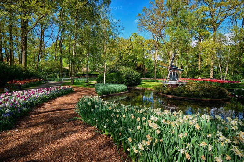 Keukenhof flower garden