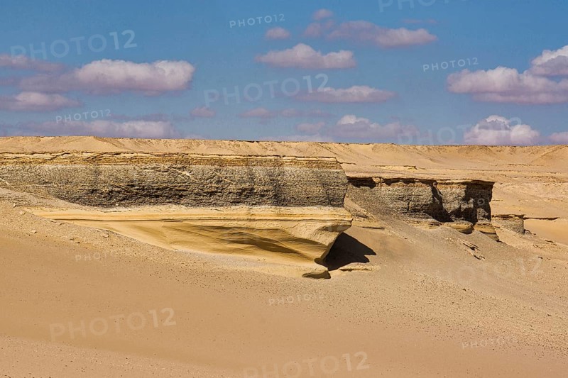 Fossil-bearing strata