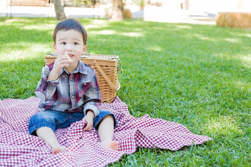 Cute young mixed-race boy sitting in park near picnic basket