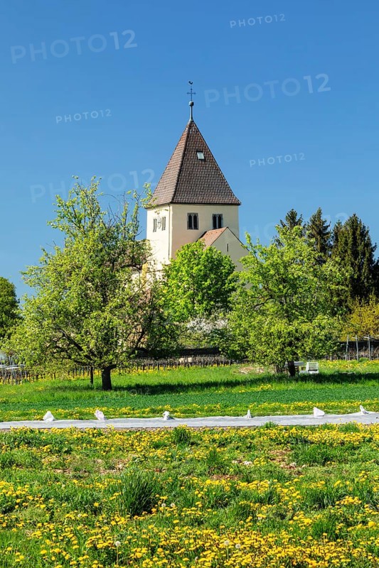 Church of St. George