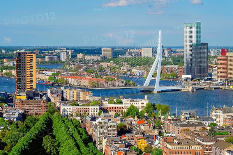 View of Rotterdam city and the Erasmus bridge Erasmusbrug over Nieuwe Maas river from Euromast