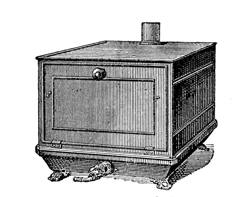 Brathaube