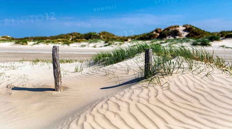 Beach with wooden planks and guard house