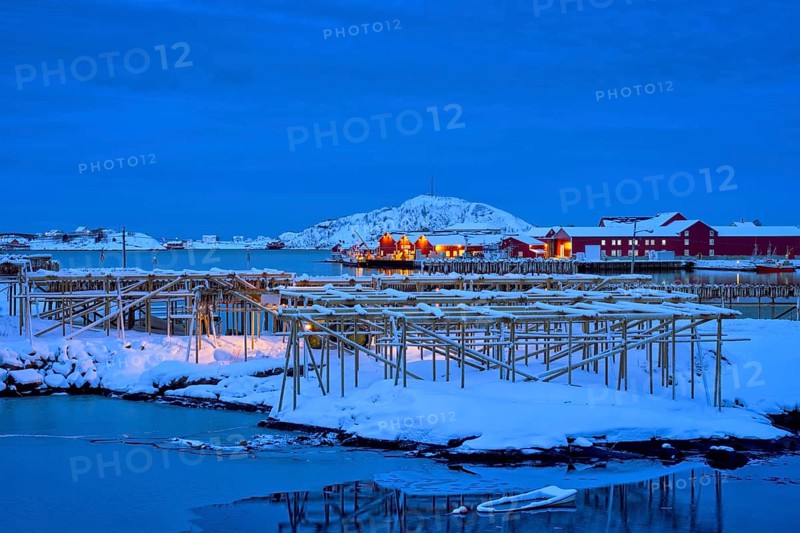 Drying flakes for stockfish cod fish in Reine village illuminated at night in winter. Lofoten islands