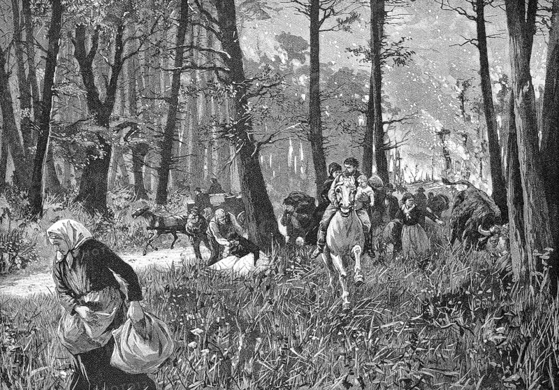 Peasants fleeing from a forest fire