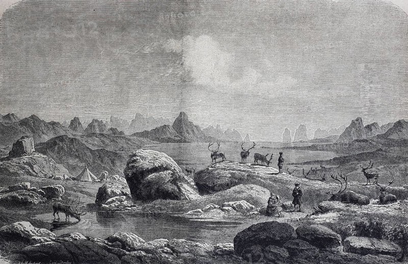 Lappen aus Groenland mit Rentieren auf ihrer Sommerweide am Eismeer