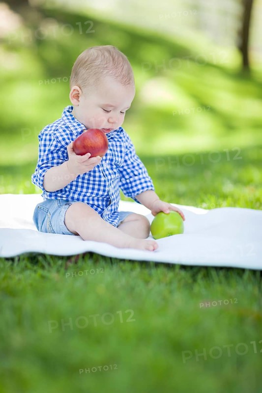 mixed-race infant baby boy sitting on blanket comparing apples to apples outside at the park