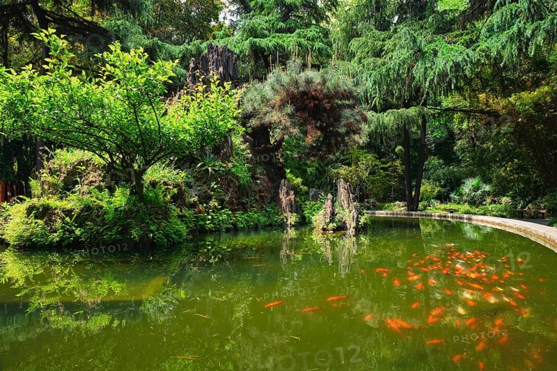 Pond in Wangjiang Pavilion
