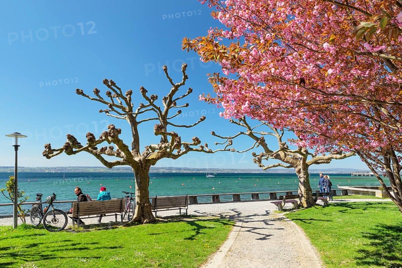 Lakeside park in spring