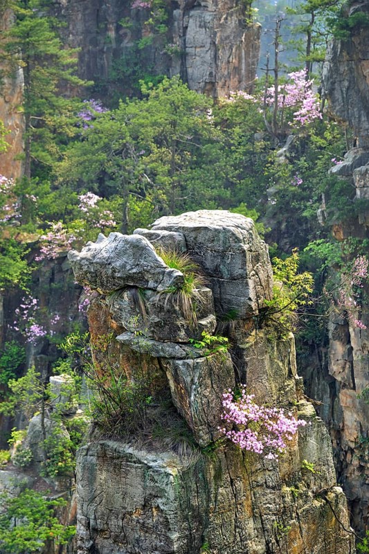 Famous tourist attraction of China