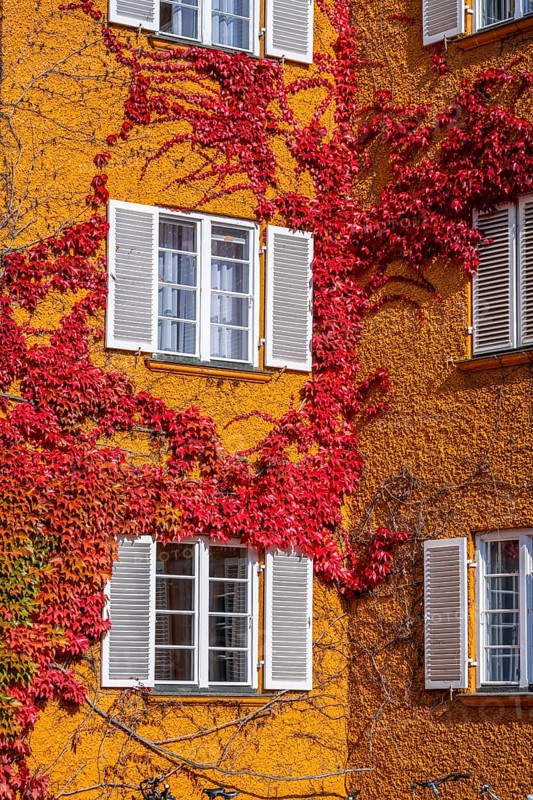 Inner courtyard with yellow apartment buildings