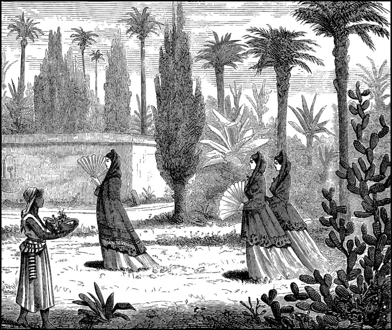 Gentlewomen in a garden in Mexico