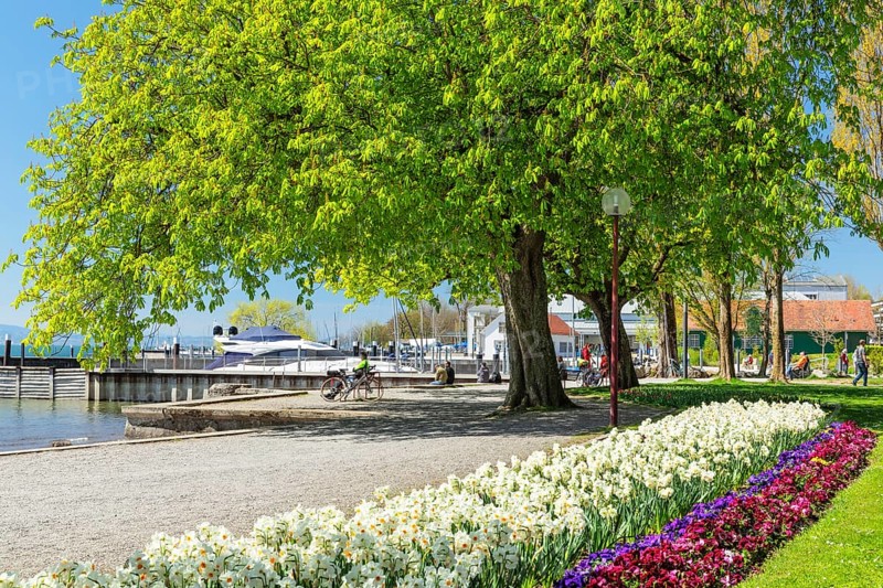 Lakeside park in spring