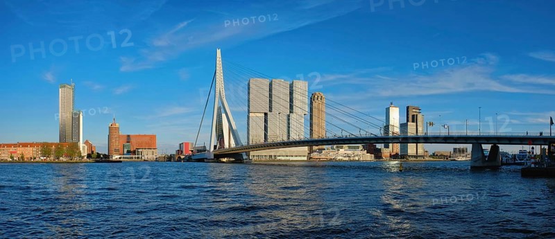 Panorama of Rotterdam cityscape with Erasmus bridge over Nieuwe Maas river on sunset. Netherlands