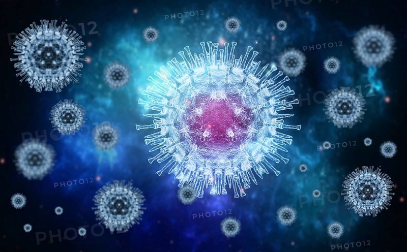 Monkeypox virus