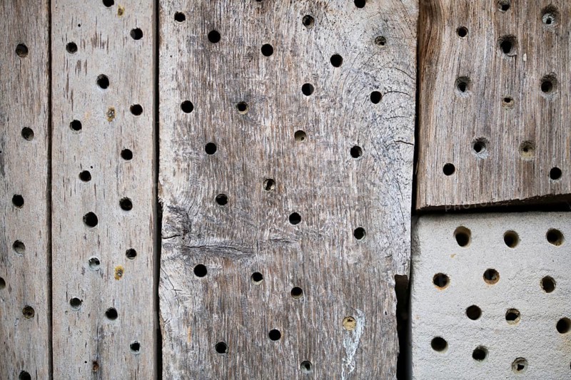 Insect nesting aid