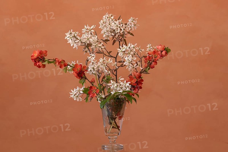 Spring bouquet with rock pear