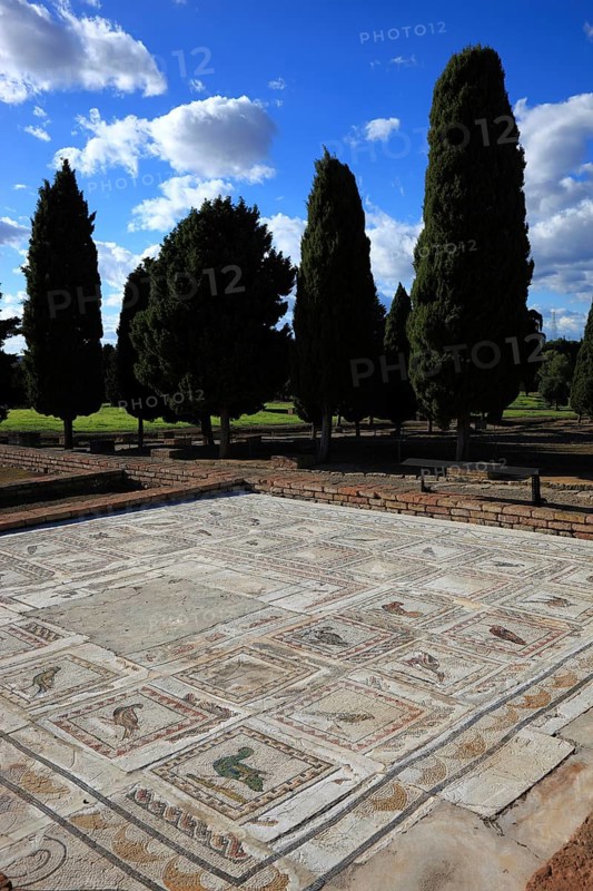 Seville province