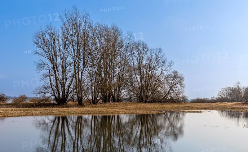 River landscape on the Elbe near Wittenberge