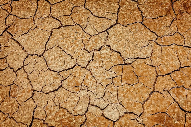 Scorsched earth ground mud with cracks texture