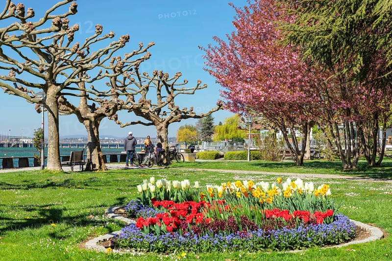 Lakeside park in spring