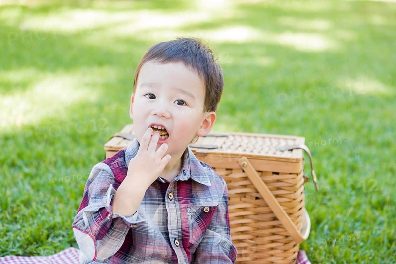 Cute young mixed-race boy sitting in park near picnic basket