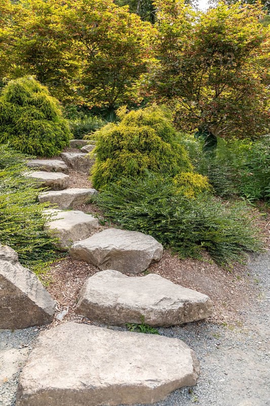 Beautiful garden setting with stepping stones