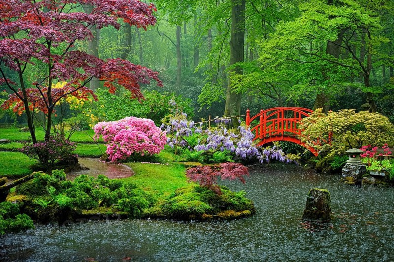 Small bridge in Japanese garden in the rain