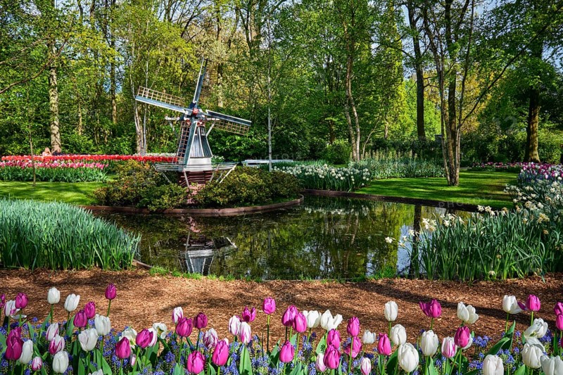 Keukenhof flower garden