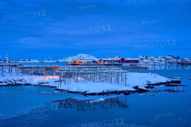 Drying flakes for stockfish cod fish in Reine village illuminated at night in winter. Lofoten islands