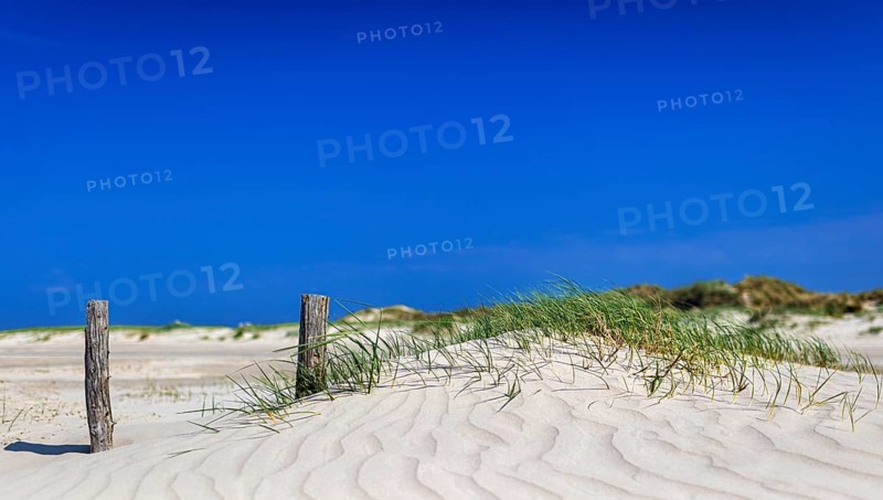 Beach with wooden planks and guard house