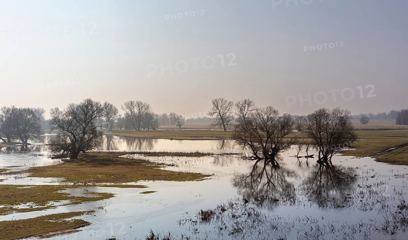 River landscape on the Elbe near Wittenberge