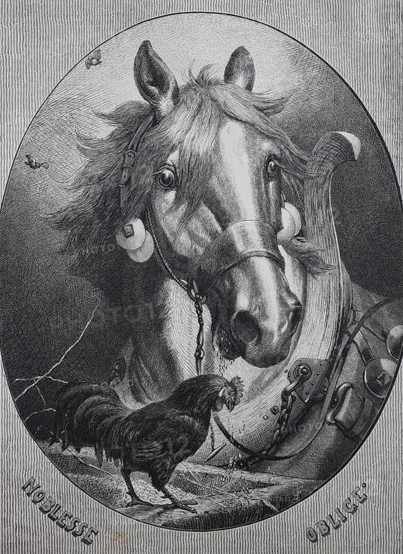 Noblesse Oblige