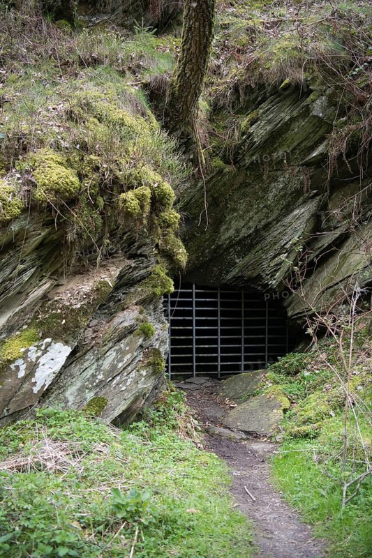 Old gallery in the Eifel National Park