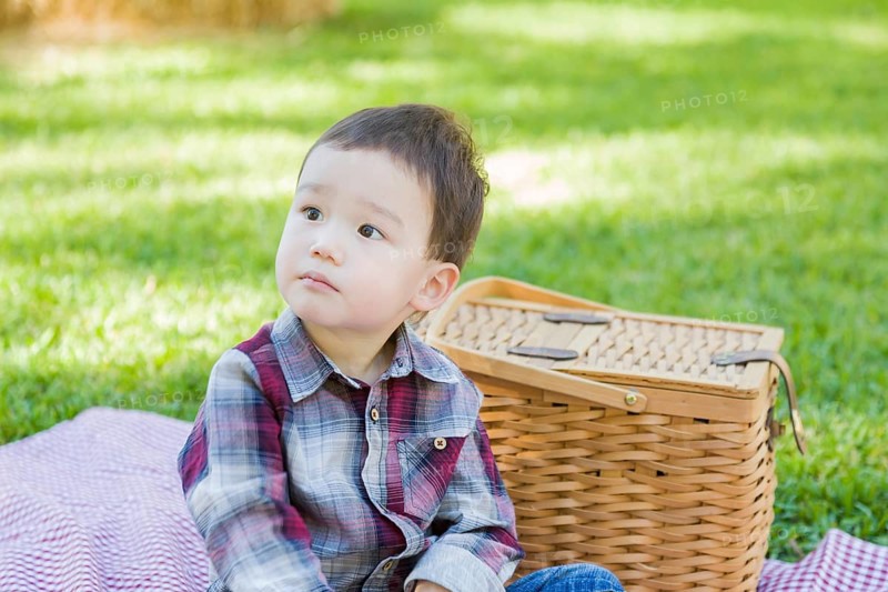 Cute young mixed-race boy sitting in park near picnic basket