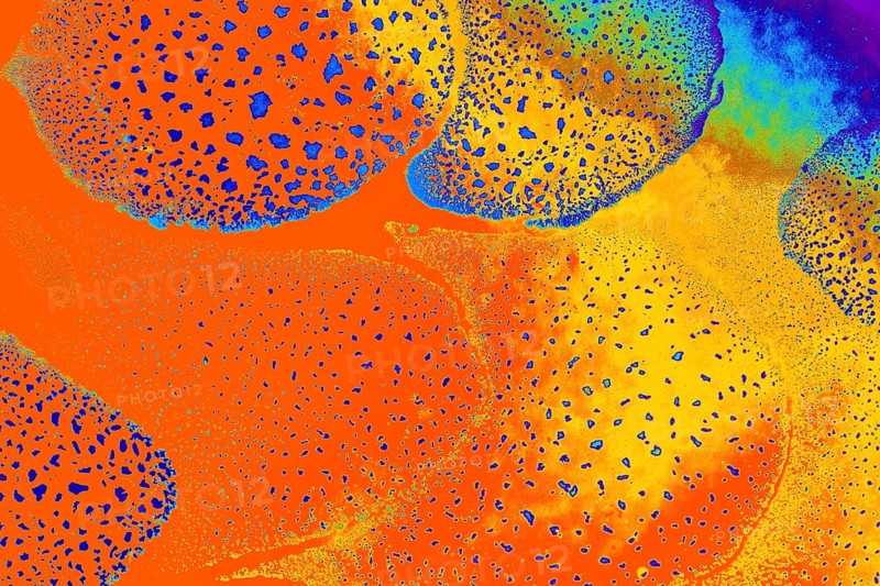Oil bubbles inside water base form patterns
