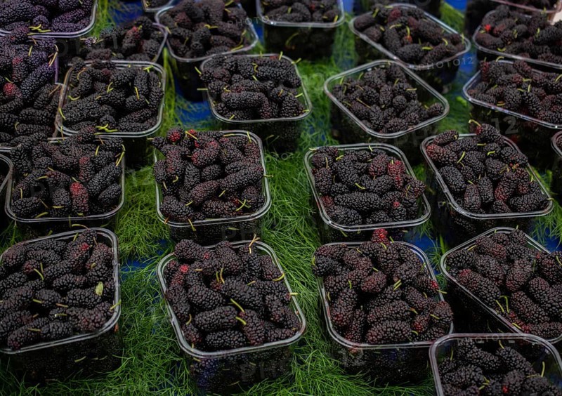 Black mulberries in plastic packages on sale in the view