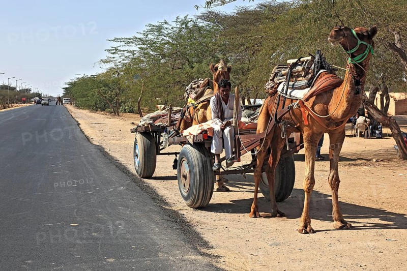 Rajasthan