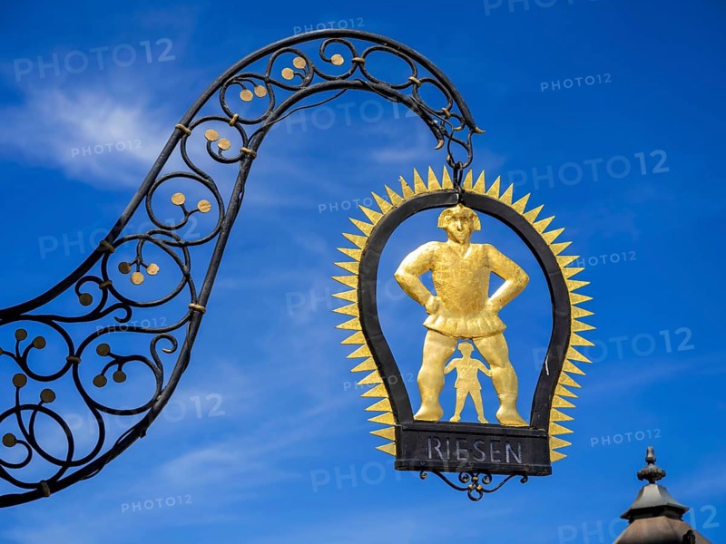 Guild shield