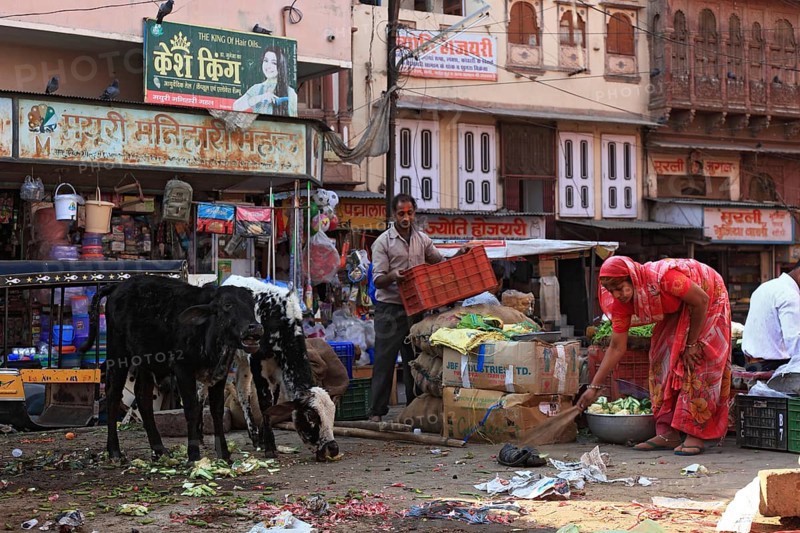 Street scene in the old town of Bikaner