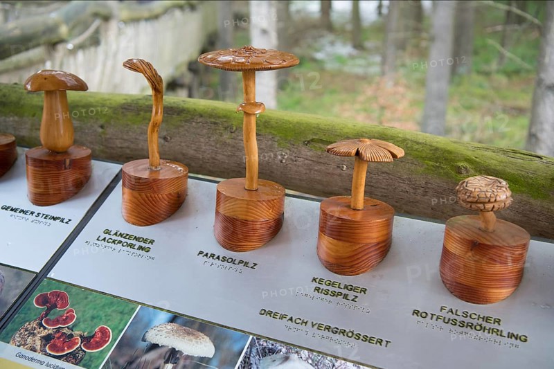 Inclusive and barrier-free nature trail Der Wilde Weg