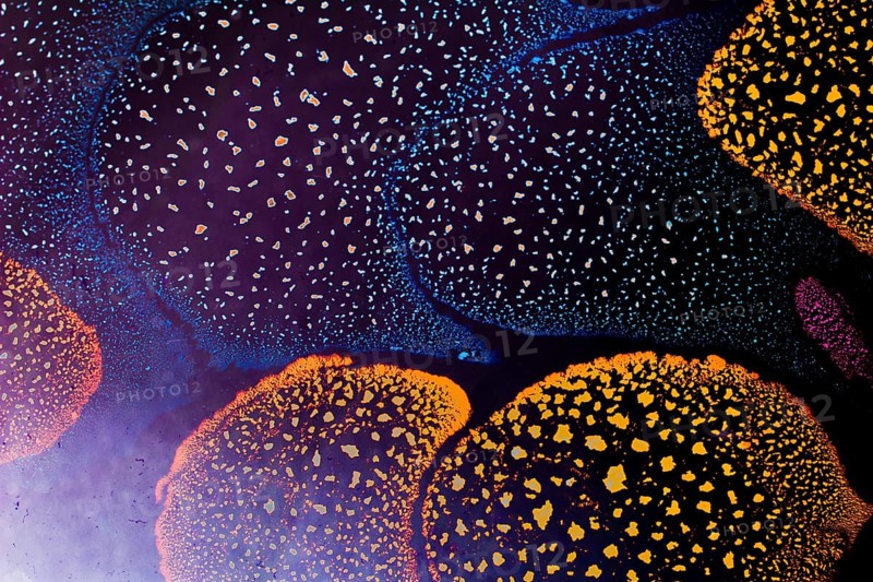 Oil bubbles inside water base form patterns